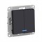 Schneider Electric AtlasDesign Выключатель 2-клавишный с индикатором, 10А (карбон) ATN 001 053